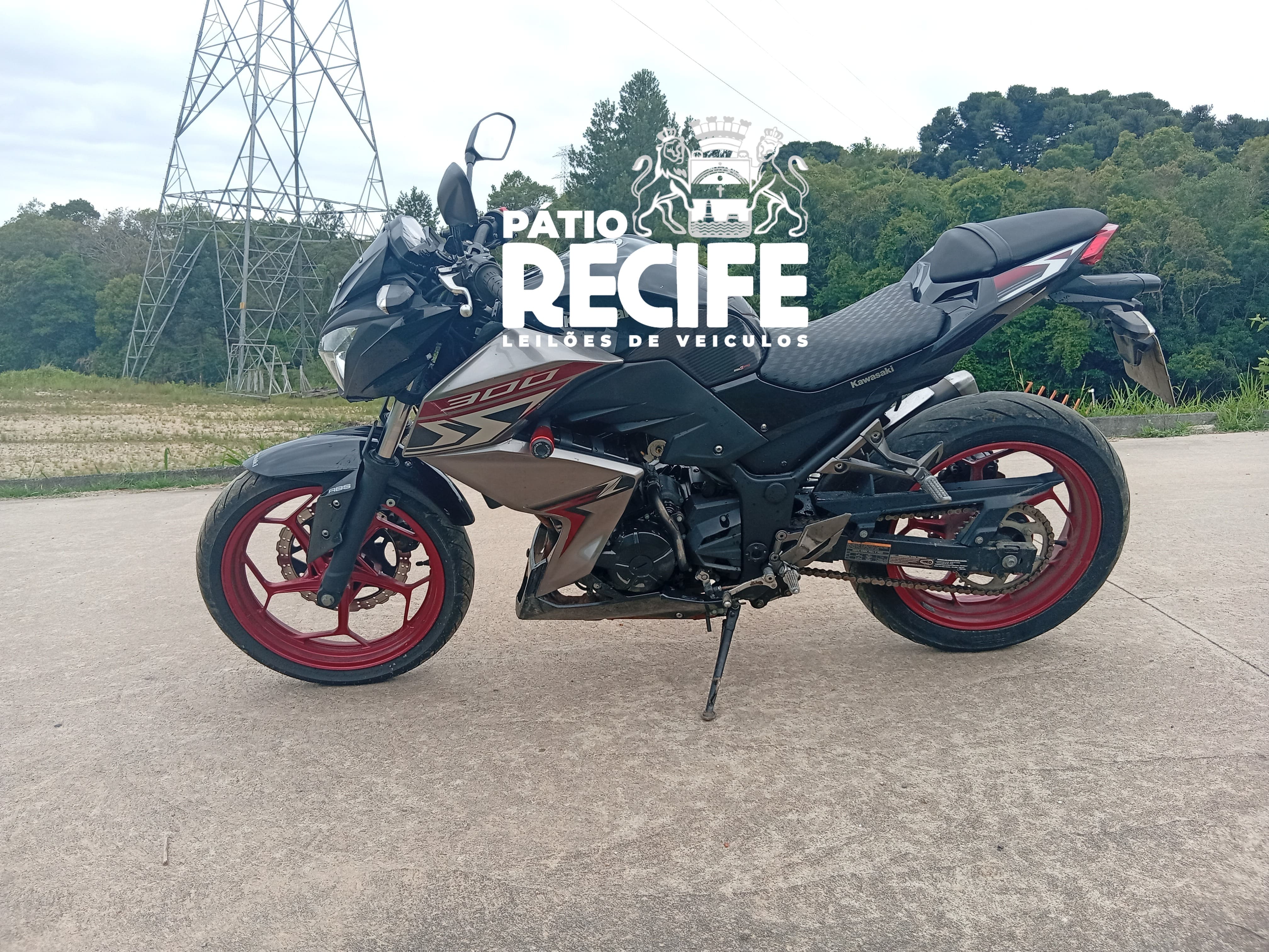 Kawasaki Z300 ABS 2018/2019